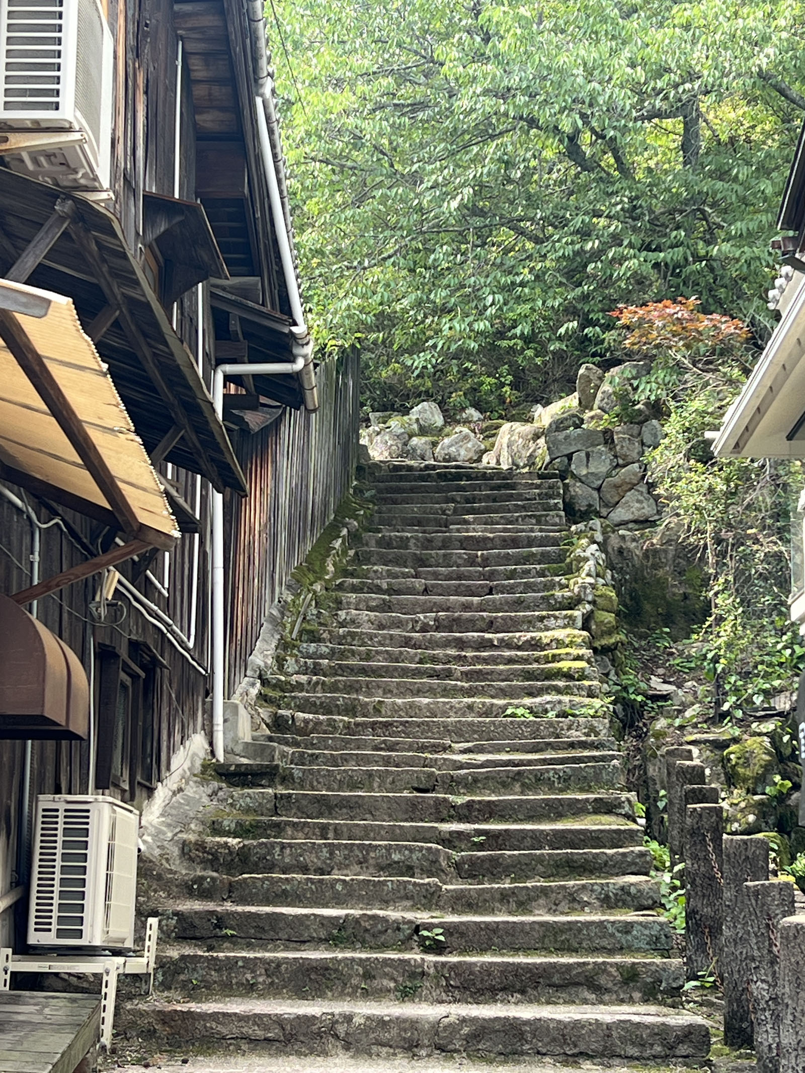Mossy steep stairs in Miyajima island